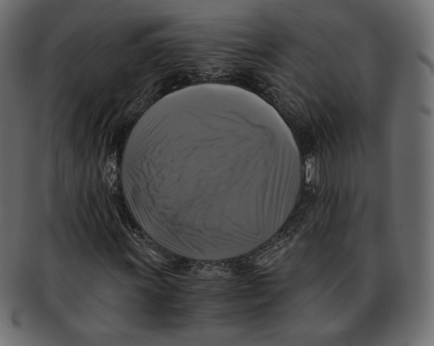 X0000091921011200710031034
