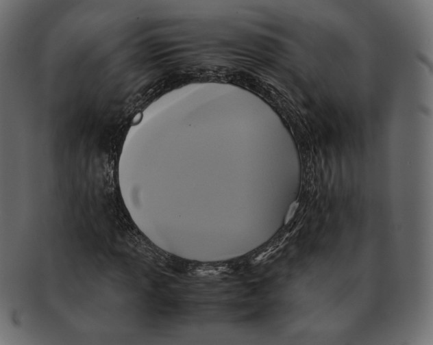 X0000091921013200710031034