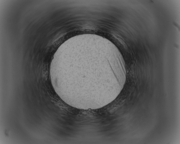 X0000091921015200710031035