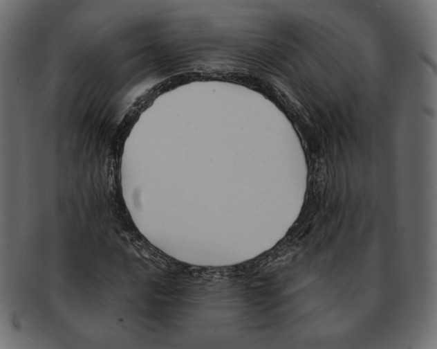 X0000091921016200710031035