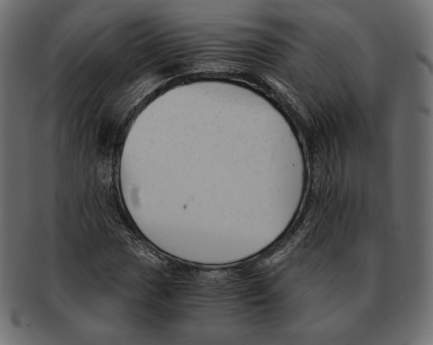 X0000091921017200710031035
