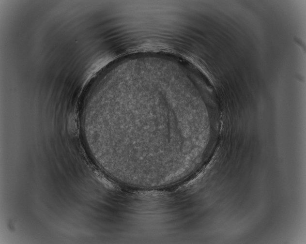 X0000091921018200710031035