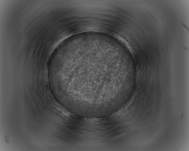 X0000091921019200710031035