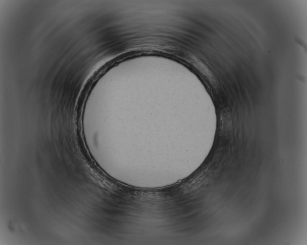 X0000091921020200710031035