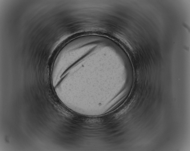 X0000091921021200710031035