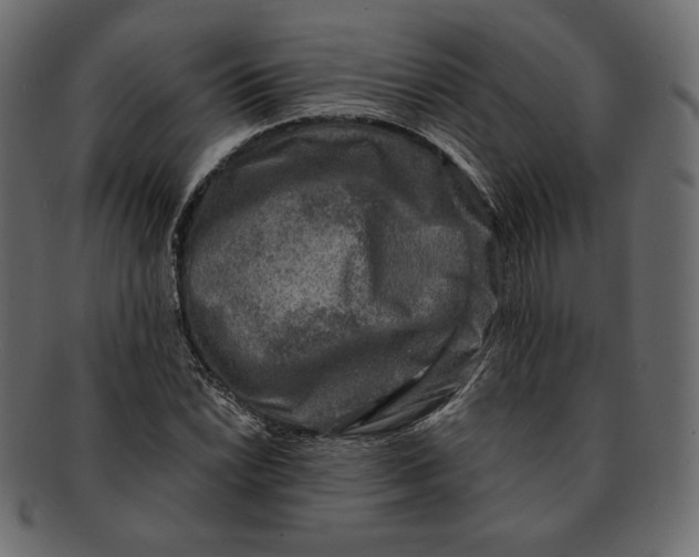 X0000091921022200710031035
