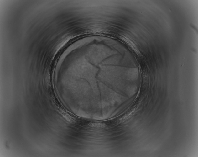 X0000091921023200710031035