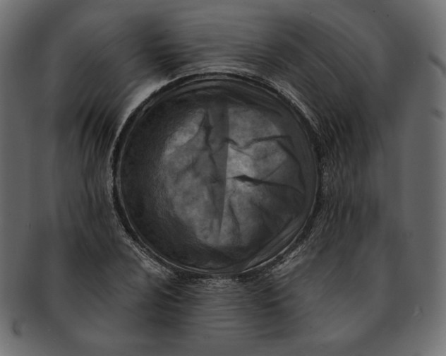 X0000091921024200710031035