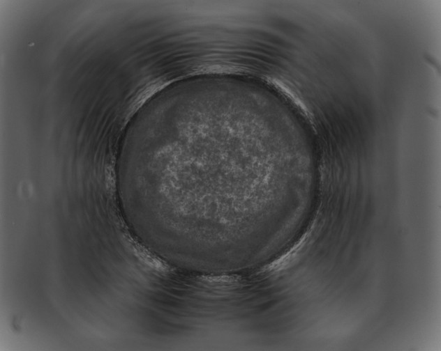X0000091921025200710031035