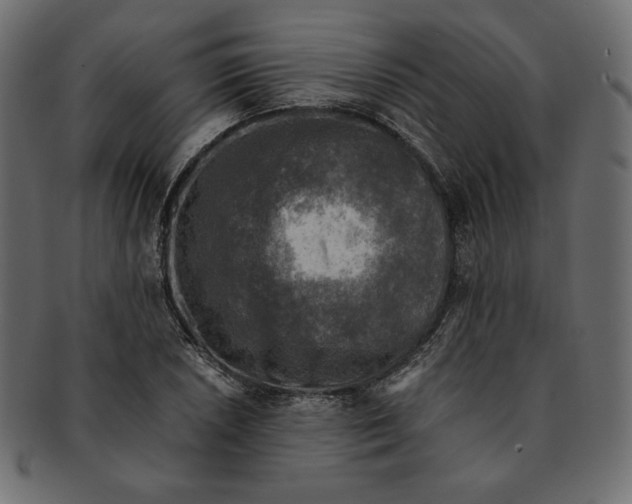 X0000091921026200710031035
