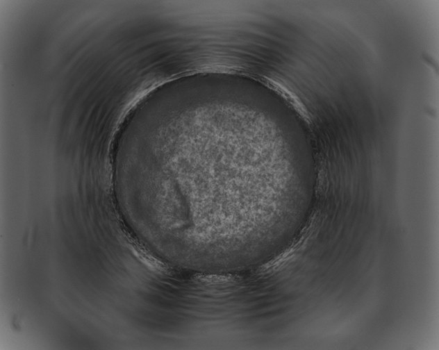 X0000091921027200710031035