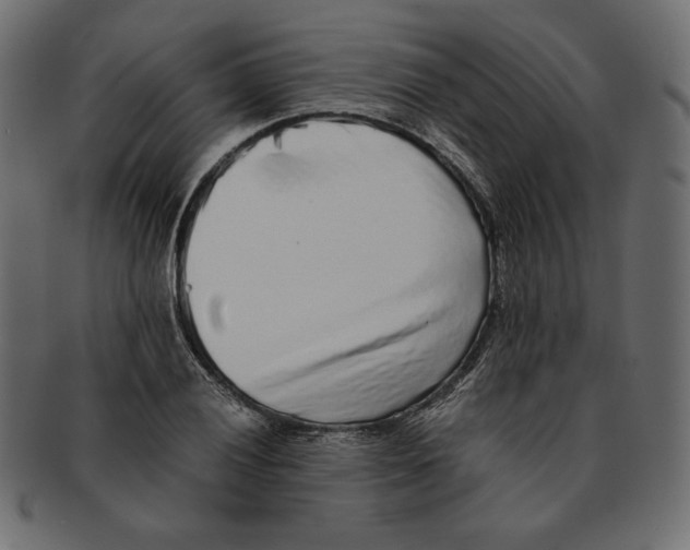 X0000091921028200710031035