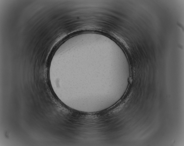 X0000091921029200710031035