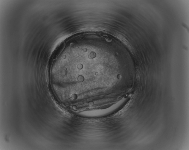 X0000091921030200710031035