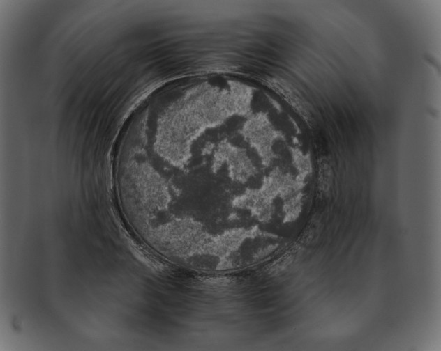 X0000091921031200710031035