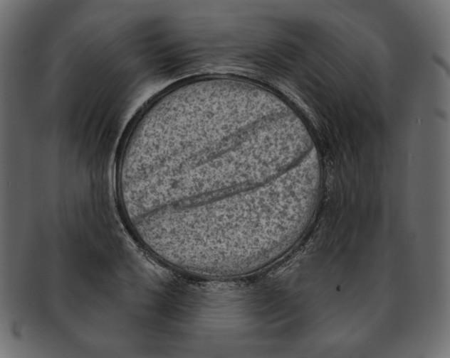 X0000091921032200710031035