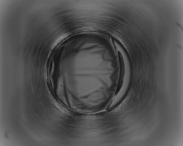 X0000091921034200710031035