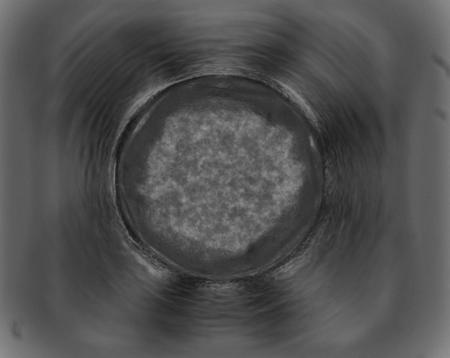 X0000091921035200710031035