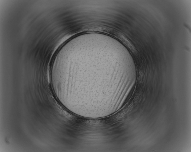 X0000091921036200710031035