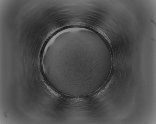 X0000091921037200710031035
