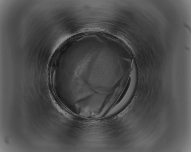 X0000091921038200710031035