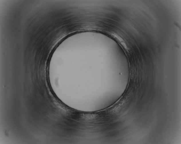 X0000091921039200710031035