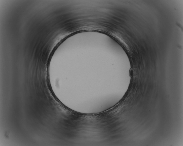 X0000091921040200710031035