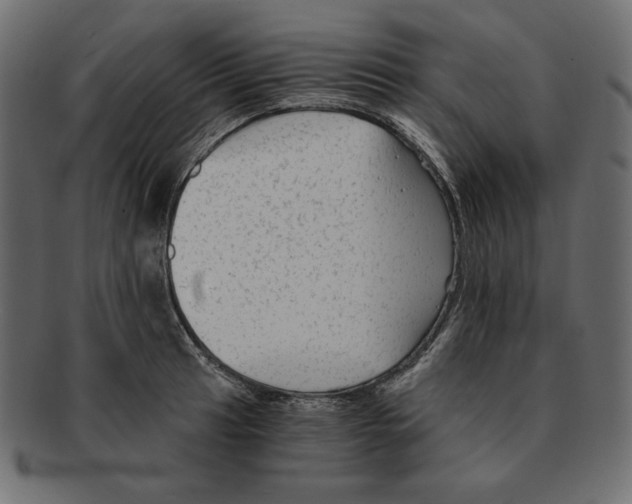 X0000091921041200710031035