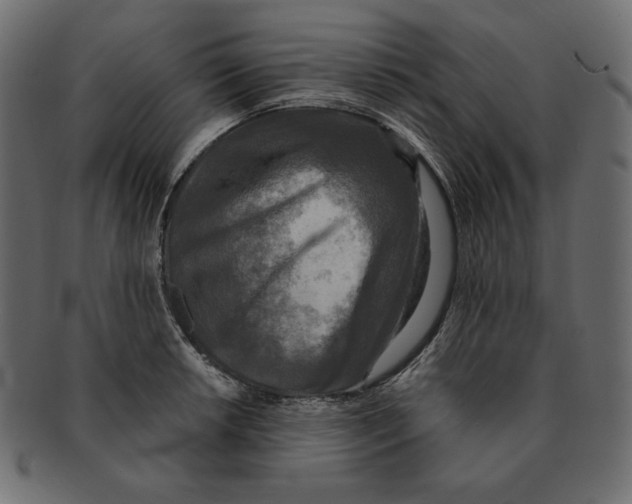 X0000091921042200710031035