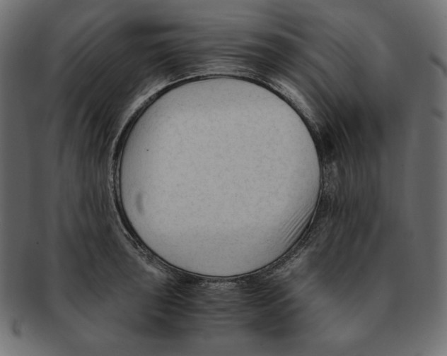 X0000091921043200710031035
