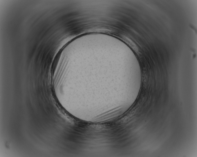 X0000091921044200710031035