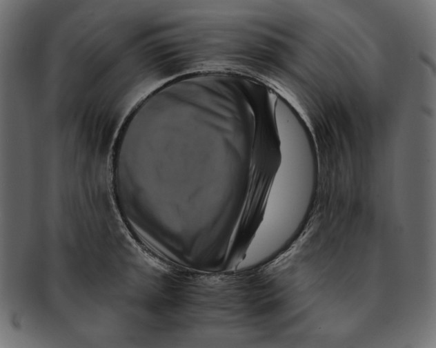 X0000091921045200710031035