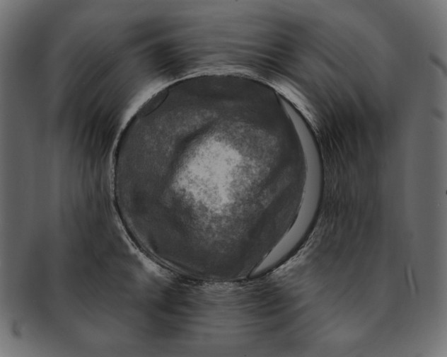 X0000091921046200710031035
