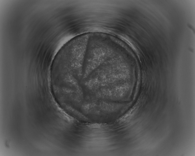 X0000091921048200710031035
