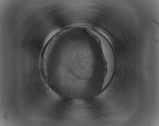 X0000091921050200710031035