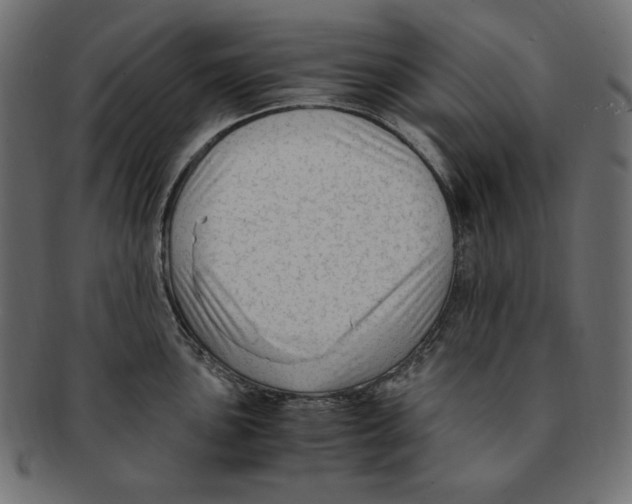 X0000091921051200710031035