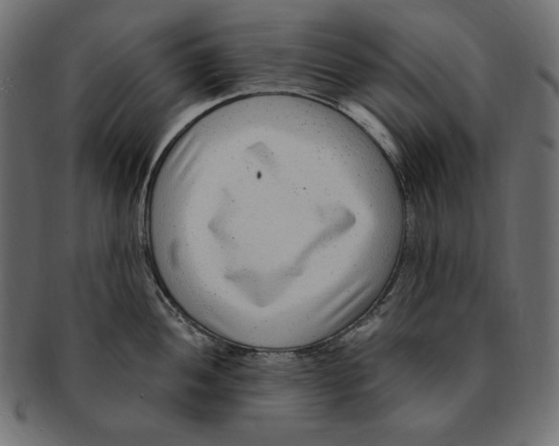 X0000091921052200710031035