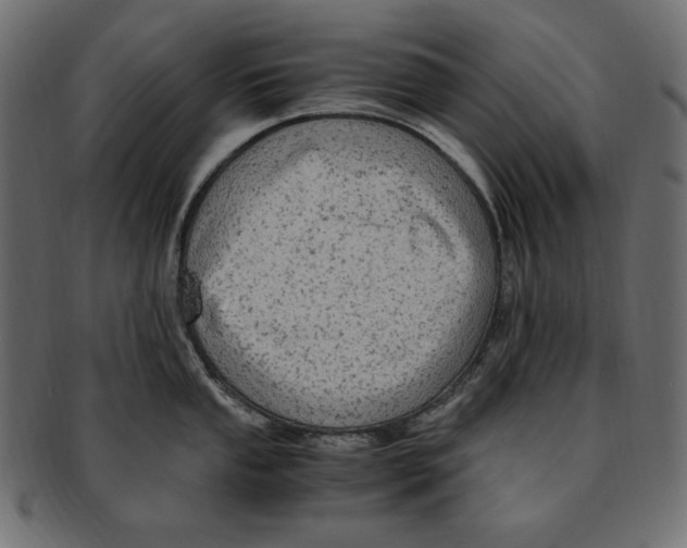X0000091921053200710031035