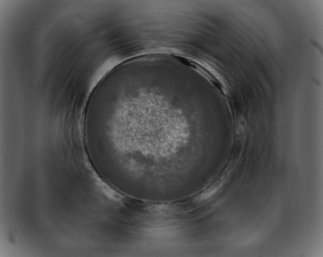 X0000091921054200710031035