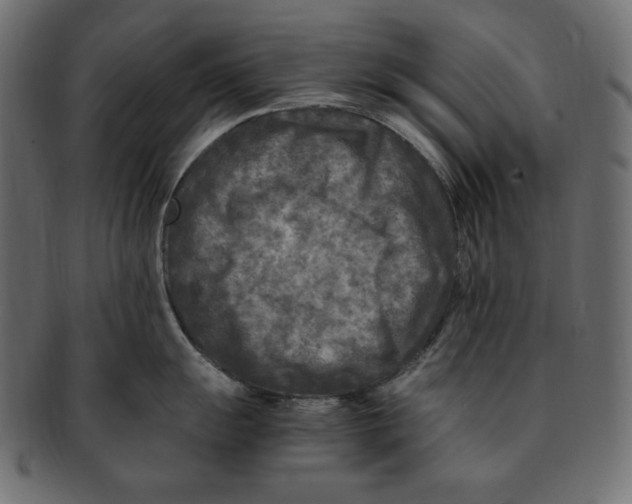 X0000091921055200710031035