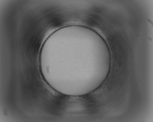 X0000091921056200710031035