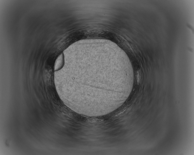 X0000091921059200710031034