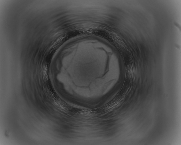X0000091921060200710031034