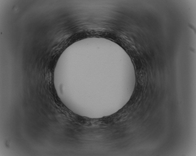 X0000091921061200710031034
