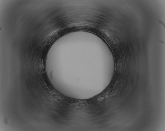 X0000091921062200710031034