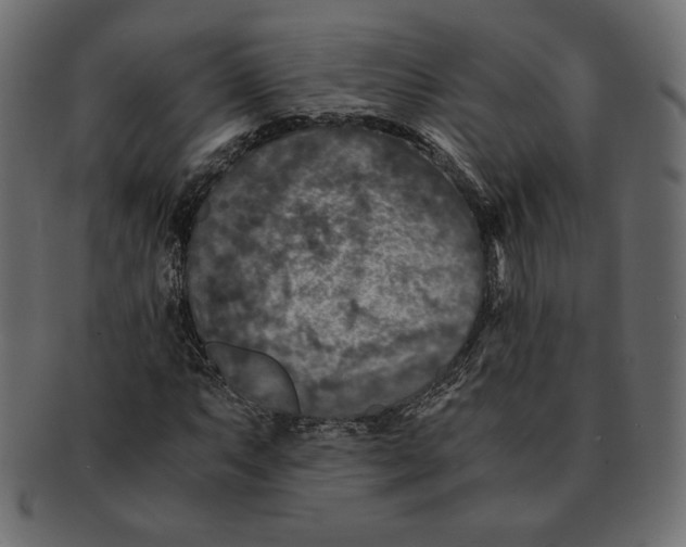 X0000091921063200710031034