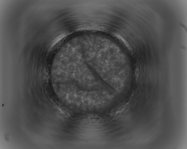 X0000091921064200710031034
