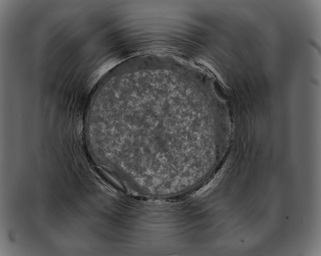 X0000091921065200710031034