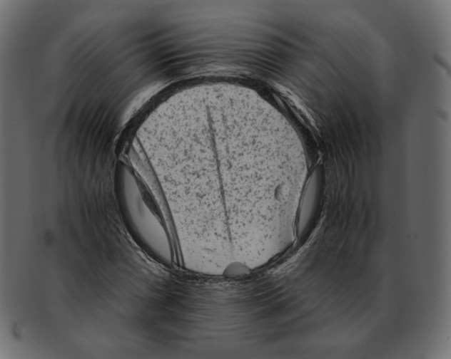 X0000091921066200710031034
