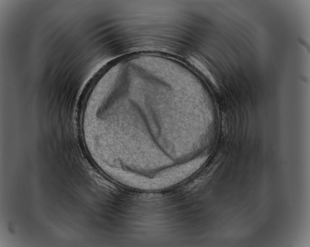 X0000091921068200710031034